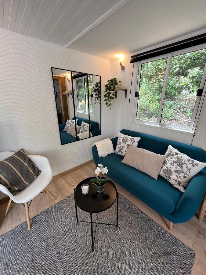 מרויי Superbe Cabane Jacuzzi Jardin Clim Wifi Parking מראה חיצוני תמונה