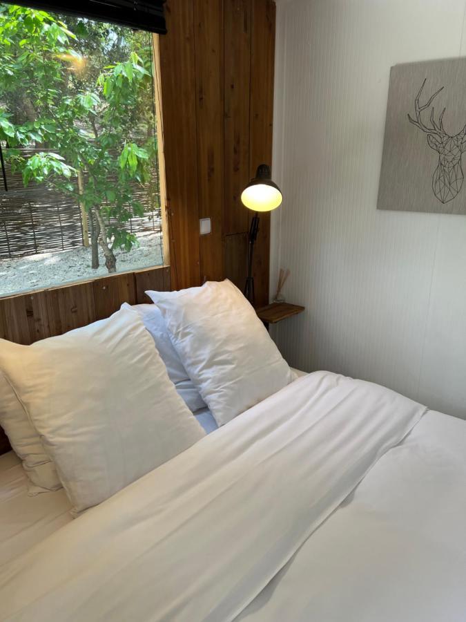 מרויי Superbe Cabane Jacuzzi Jardin Clim Wifi Parking מראה חיצוני תמונה